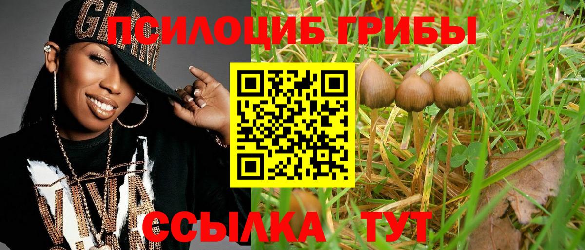 хочу наркоту  Вход с VPN  Галлюциногенные грибы MAGIC MUSHROOMS  Воткинск  Псилоцибиновые грибы GOLDEN TEACHER 