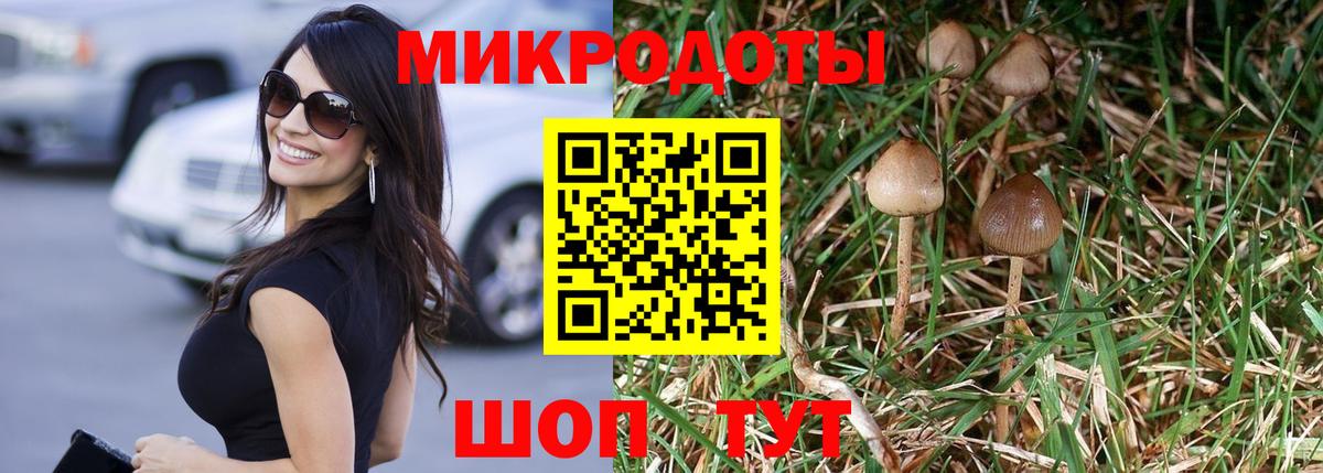 Галлюциногенные грибы Psilocybine cubensis Воткинск